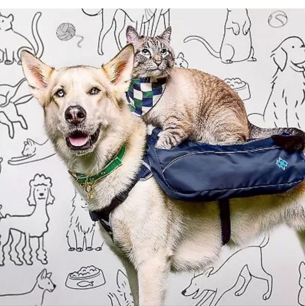 Dog Backpack Harness - Dark Blue - The Cuddle Collab